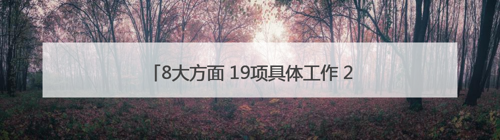 8大方面 19项具体工作 2025年四川法治政府这样建