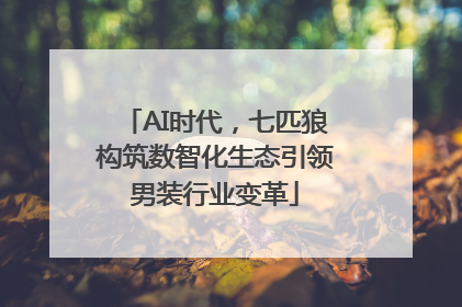 AI时代，七匹狼构筑数智化生态引领男装行业变革