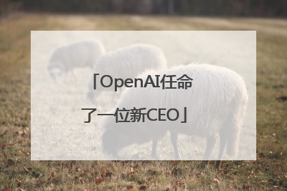 OpenAI任命了一位新CEO