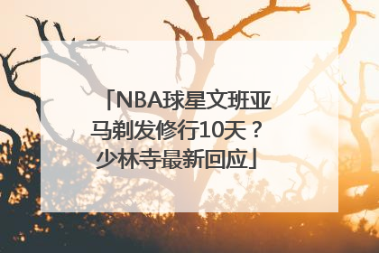 NBA球星文班亚马剃发修行10天？少林寺最新回应