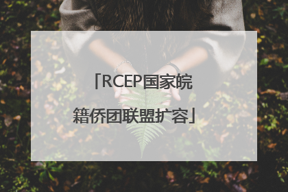 RCEP国家皖籍侨团联盟扩容